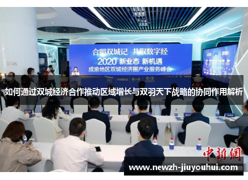 如何通过双城经济合作推动区域增长与双羽天下战略的协同作用解析