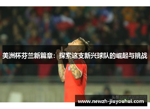 美洲杯芬兰新篇章：探索这支新兴球队的崛起与挑战