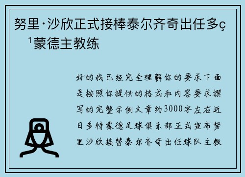 努里·沙欣正式接棒泰尔齐奇出任多特蒙德主教练
